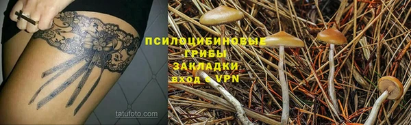 ПСИЛОЦИБИНОВЫЕ ГРИБЫ Богородицк